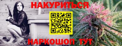 наркотики Новозыбков